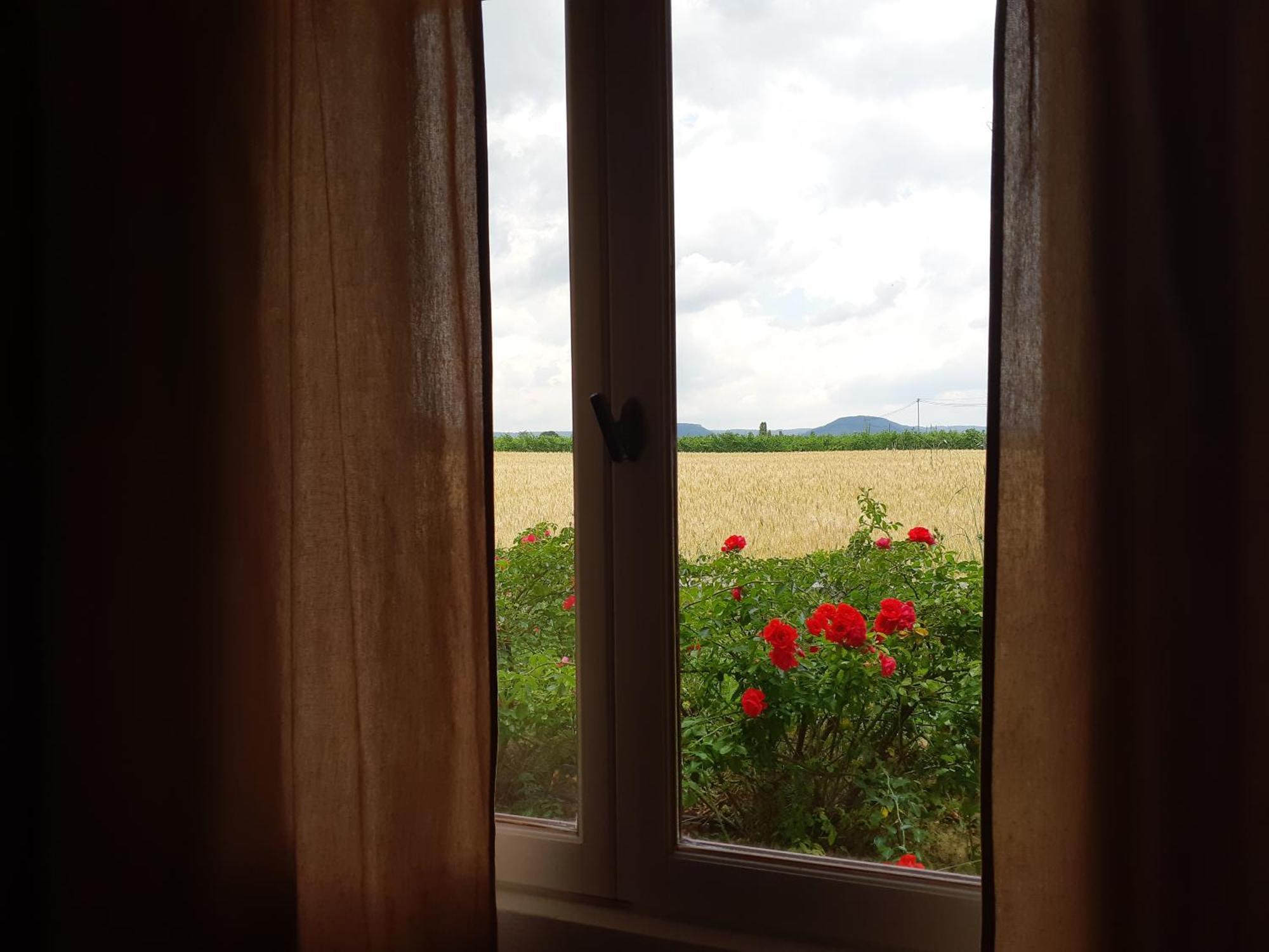 Chambres D'Hotes, B&B La Musardiere Alba-la-Romaine Luaran gambar